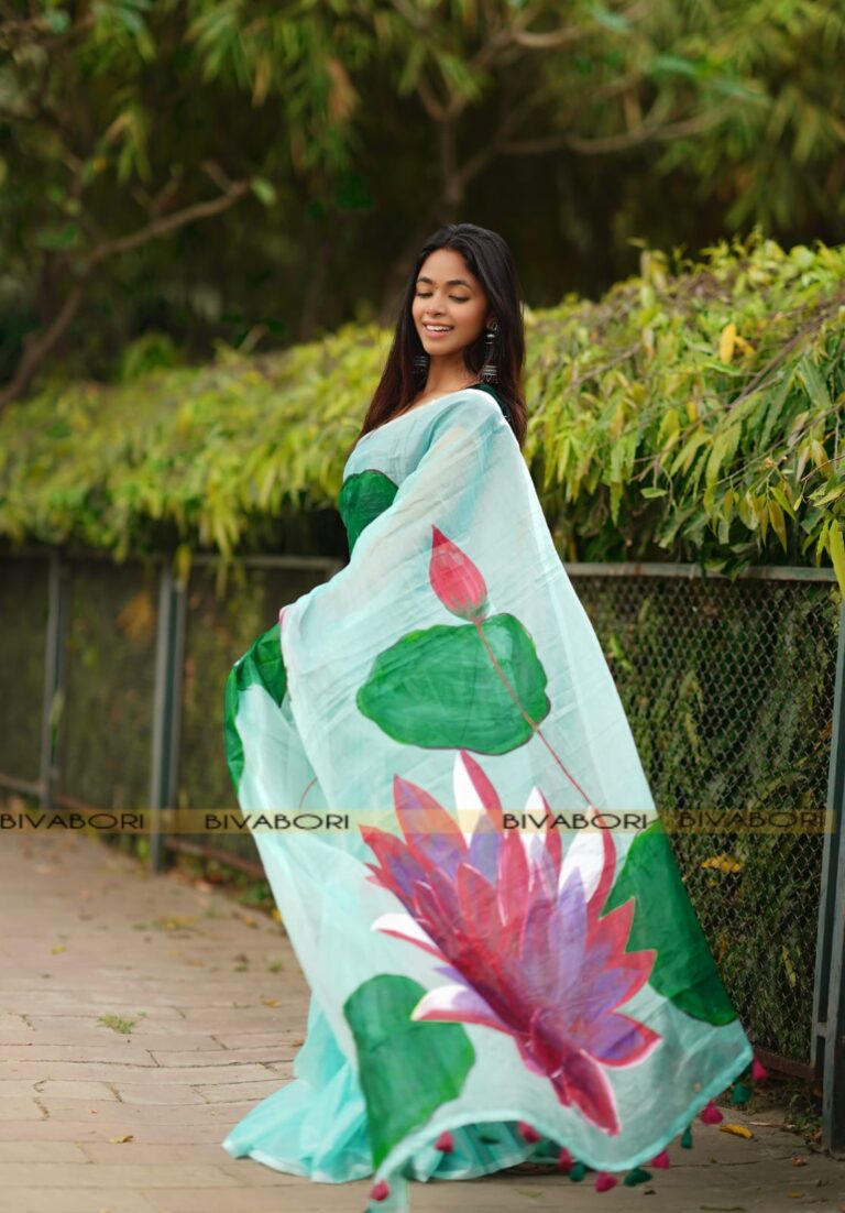 Soft Organza Saree with Hand Paint